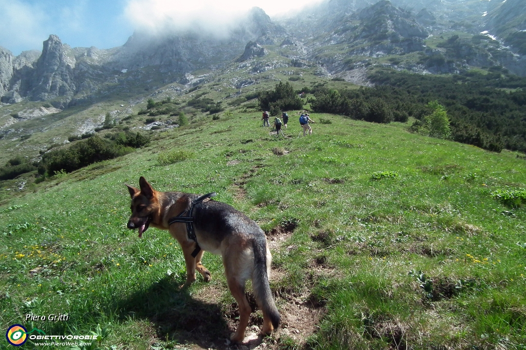 35 Dietro-sopra il rifugio....JPG